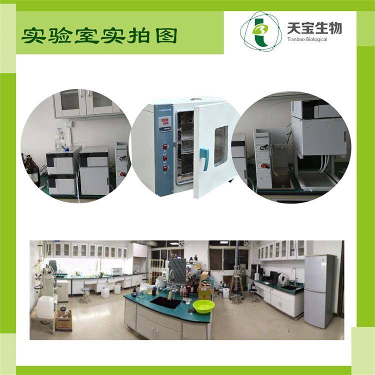 2025代餐粉行业市场发展现状及竞争格局、销售渠道分析_人保有温度,人保护你周全