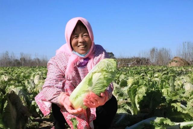 2025大白菜行业深度调研及发展现状、竞争格局分析_人保车险   品牌优势——快速了解燃油汽车车险,人保有温度