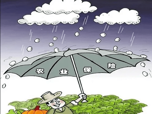 2025科技木行业市场调研及发展现状、竞争格局分析_保险有温度,人保有温度