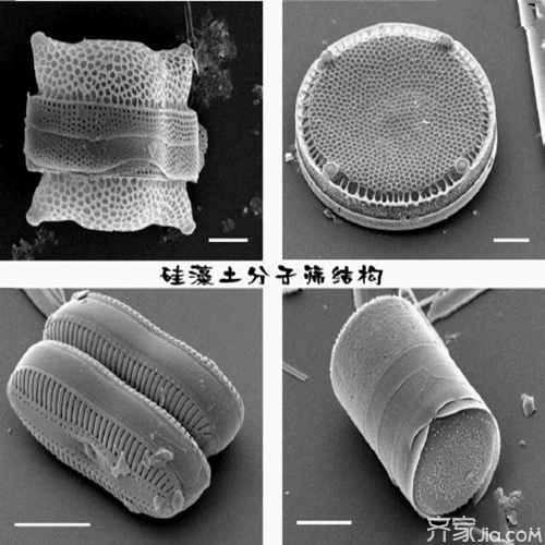 2025年硅藻土装饰壁材行业产业链结构及前景预测_人保服务,人保财险 
