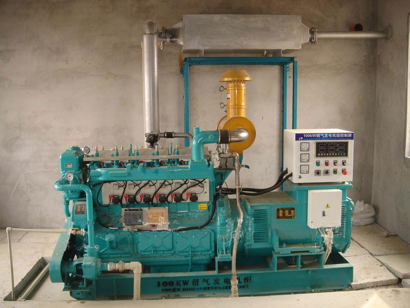 2025年沼气发电行业发展趋势及政策分析_人保服务 ,人保财险政银保 