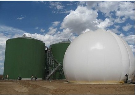 2025年沼气发电行业发展趋势及政策分析_人保服务 ,人保财险政银保 