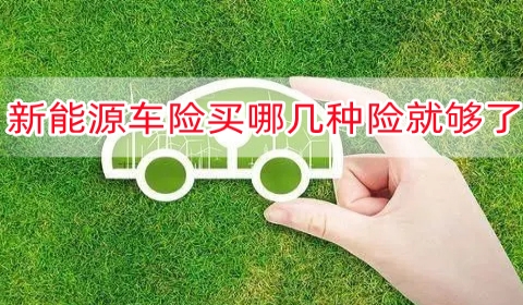 2025年直播培训行业前景预测及投资分析_人保车险   品牌优势——快速了解燃油汽车车险,人保有温度