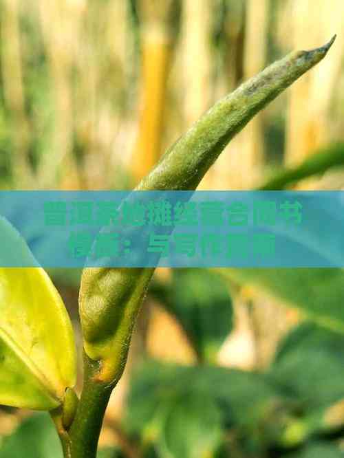 普洱茶行业市场发展现状及竞争格局、未来前景分析2025_人保车险   品牌优势——快速了解燃油汽车车险,人保服务