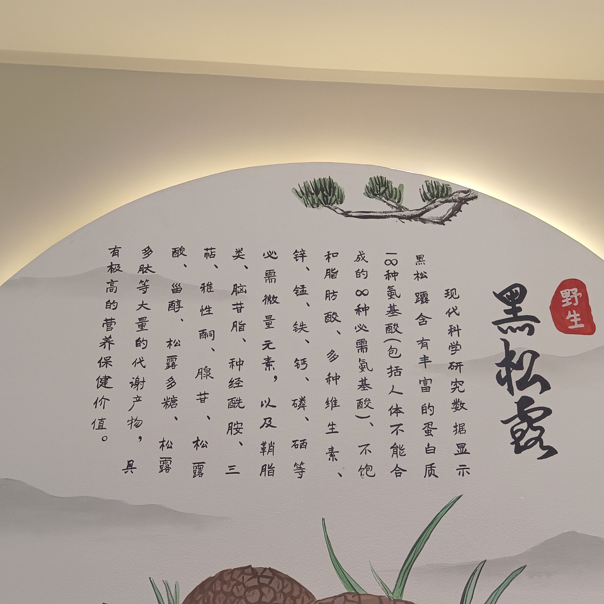 2024年素食食品产业市场现状分析及未来发展趋势分析报告_人保车险   品牌优势——快速了解燃油汽车车险,人保服务 