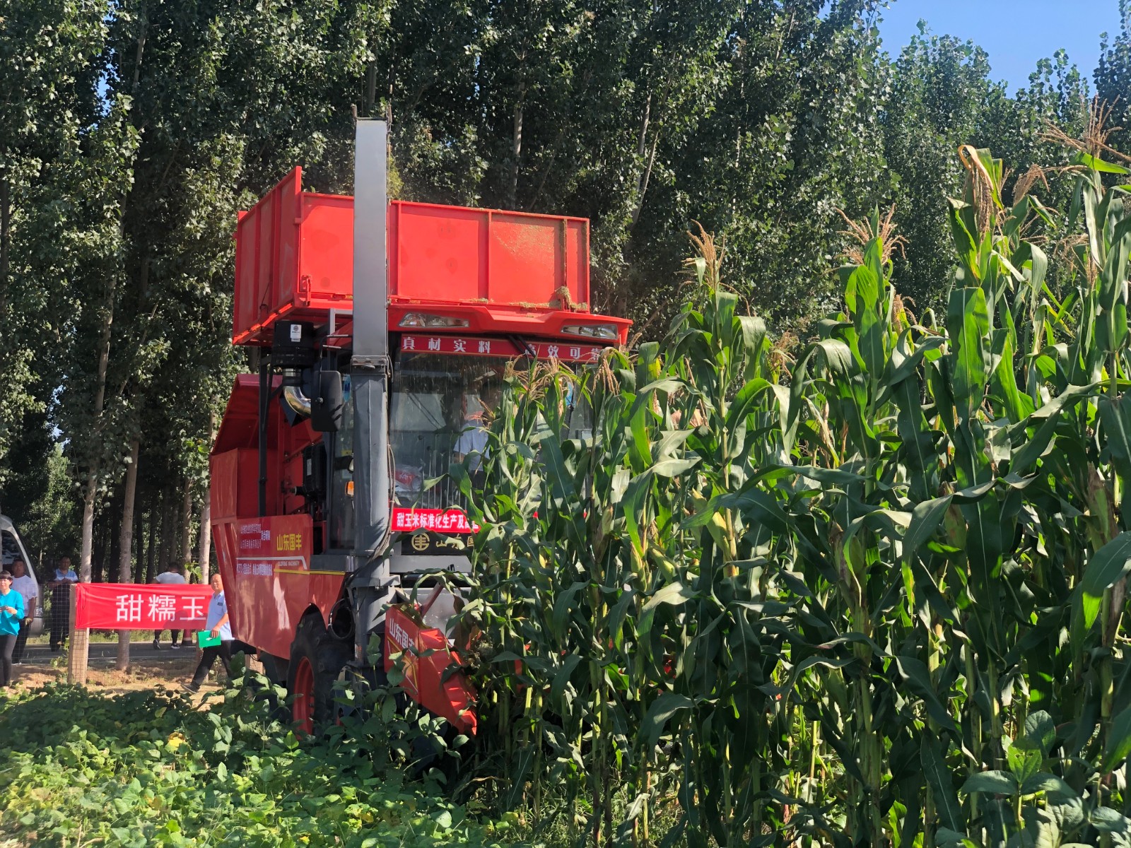 人保财险政银保 ,人保财险 _2025年鲜食玉米行业现状与发展趋势分析