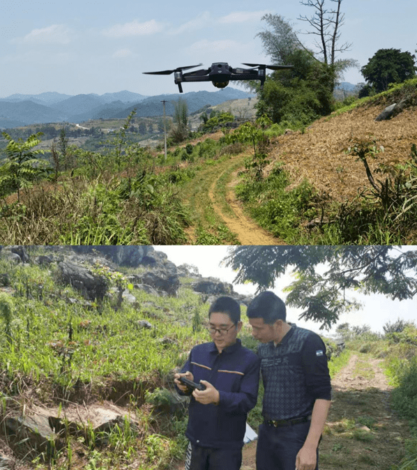 2025年盆花行业现状与发展趋势分析_人保财险政银保 ,拥有“如意行”驾乘险，出行更顺畅！