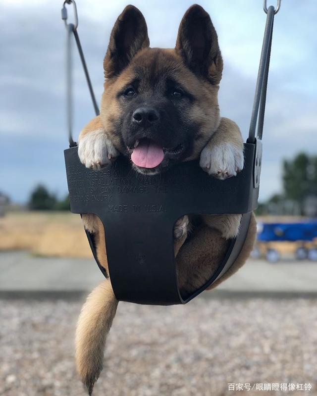 游乐场带娃经济学：会发光的秋千正在掏空90后爸妈钱包_人保车险,人保财险 