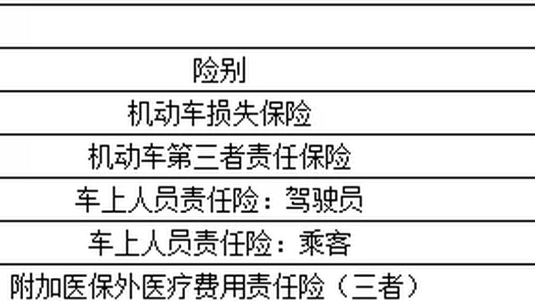 人保服务 ,人保车险_2025年资本市场长线资金入市与回购规模预测：结构性机遇与政策红利共振
