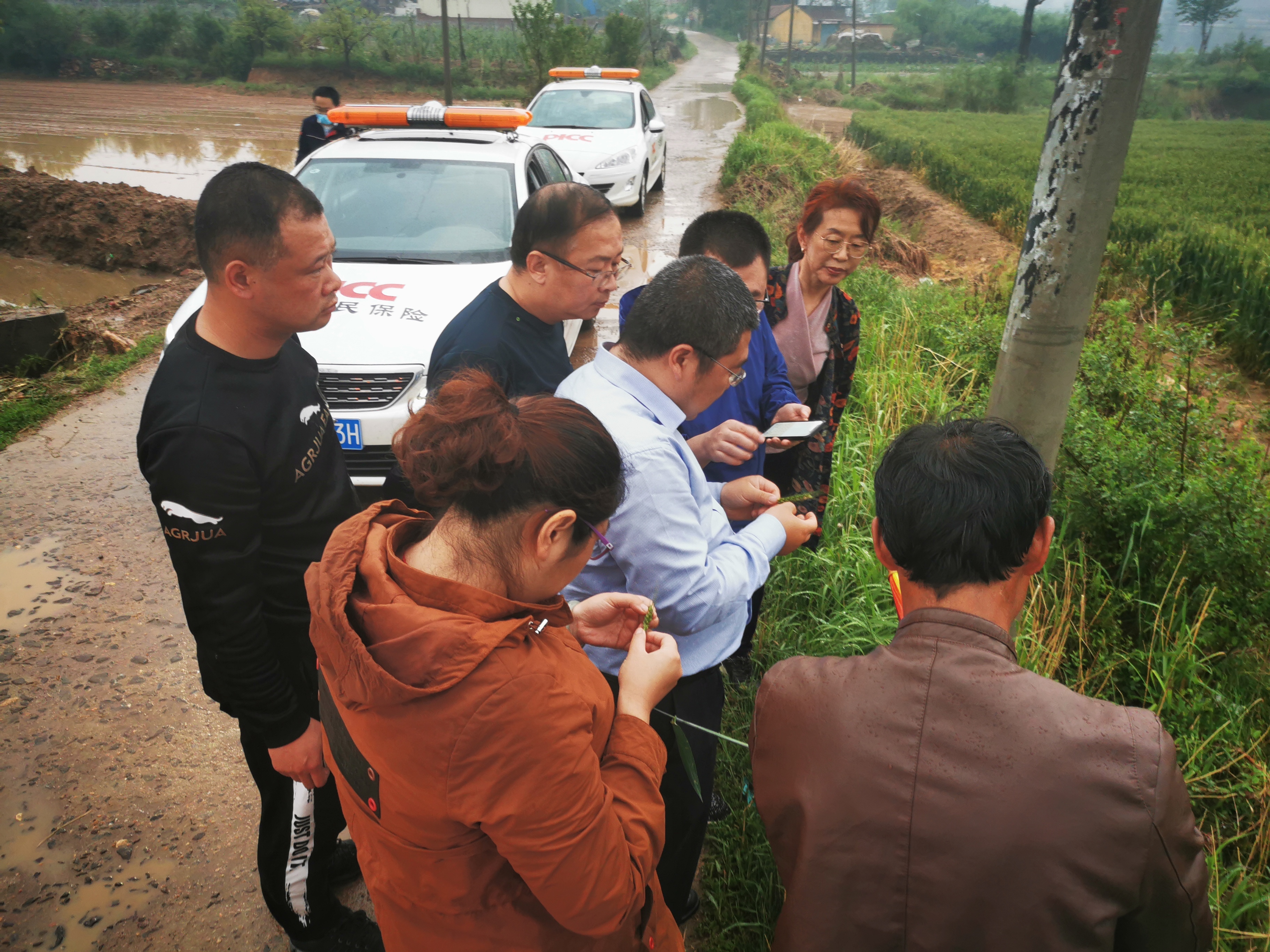 保险有温度,人保服务 _处于转型升级的关键期，2025年黑龙江省休闲农业市场调研