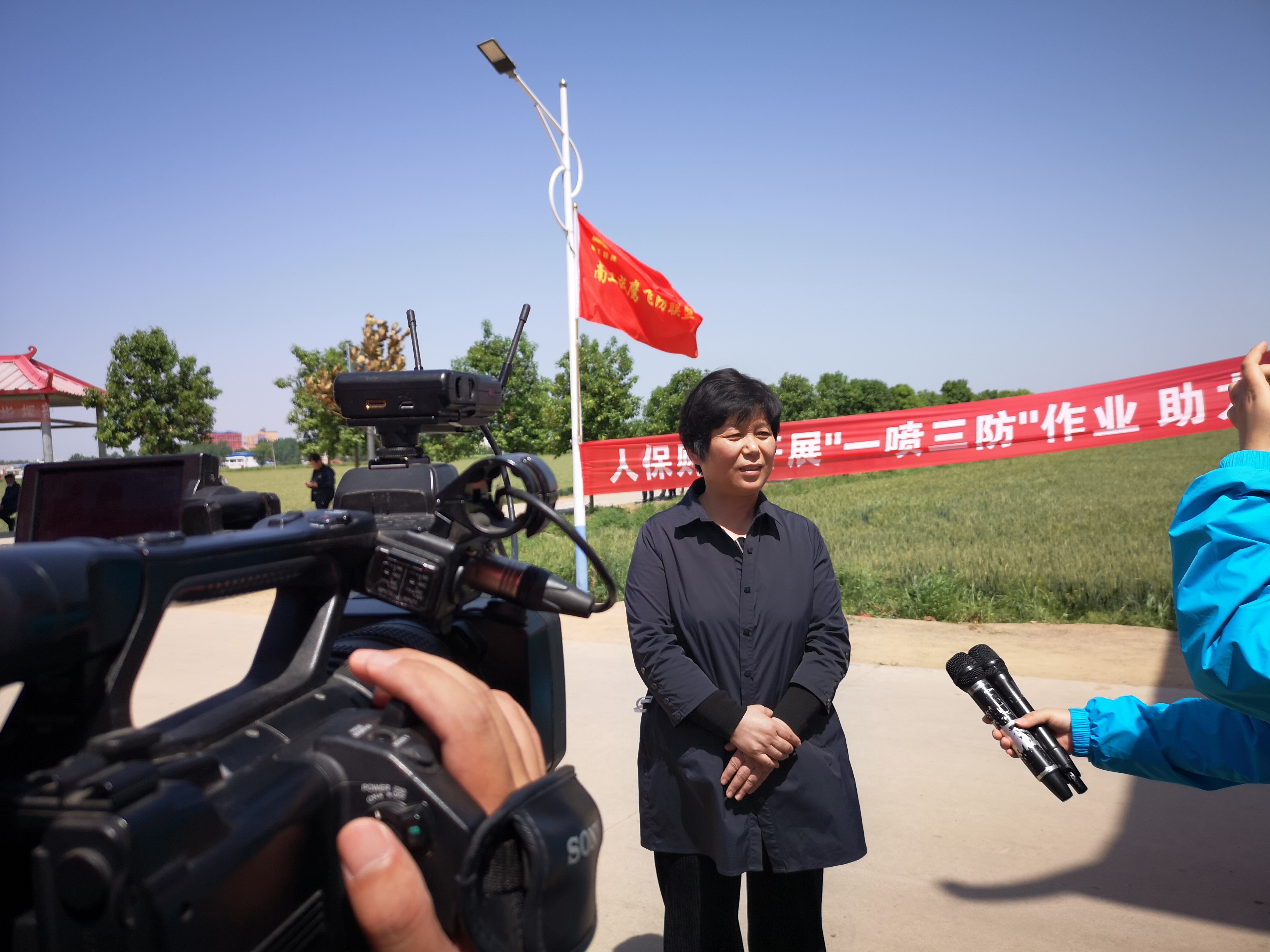 2025年小麦行业现状与发展趋势分析_人保伴您前行,人保有温度