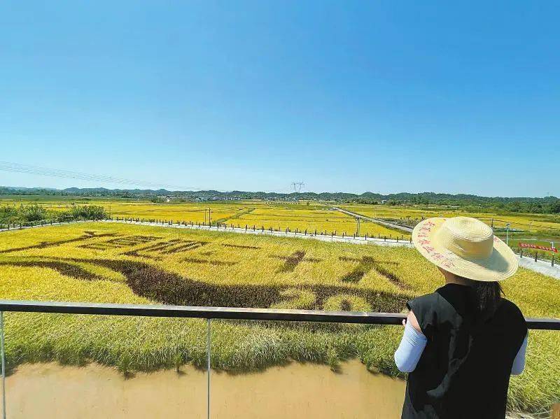 2025年宁夏林业草原保护行业现状与发展趋势分析_保险有温度,人保有温度