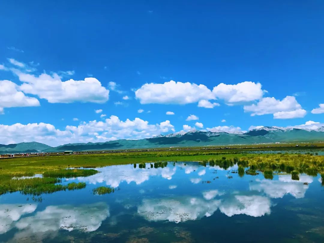 2025年宁夏林业草原保护行业现状与发展趋势分析_保险有温度,人保有温度