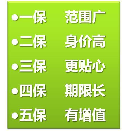 人保服务,人保伴您前行_2025中国意外险行业：绿色低碳、数字化与智能化将成为意外险行业的核心竞争力