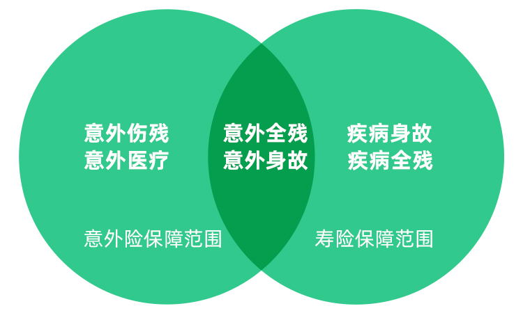 人保服务,人保伴您前行_2025中国意外险行业：绿色低碳、数字化与智能化将成为意外险行业的核心竞争力
