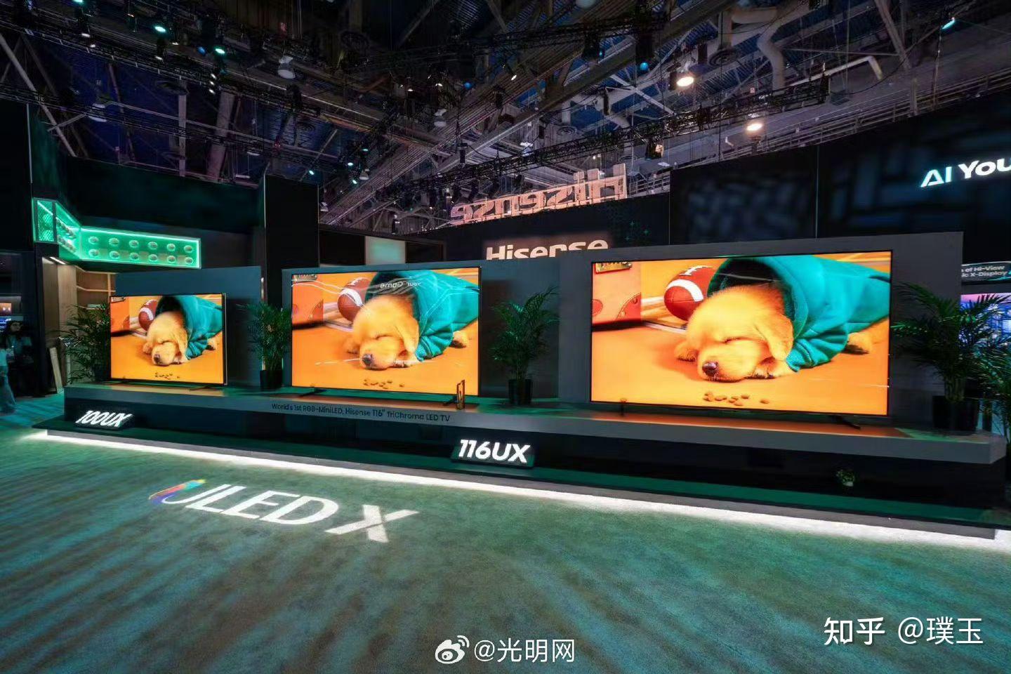 中国OLED行业深度调研及市场规模、未来趋势预测2025_人保服务,人保财险 