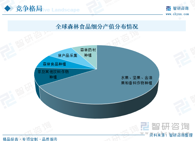 2025中国功能性食品行业全景调研及市场规模、前景分析_人保服务 ,人保有温度