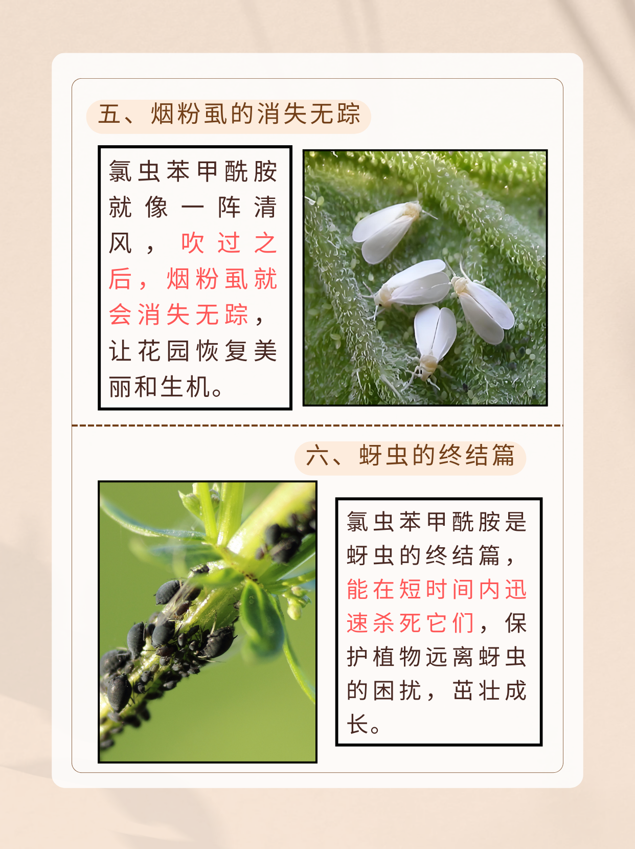2025年氯虫苯甲酰胺行业现状与发展趋势分析_人保车险   品牌优势——快速了解燃油汽车车险,拥有“如意行”驾乘险，出行更顺畅！