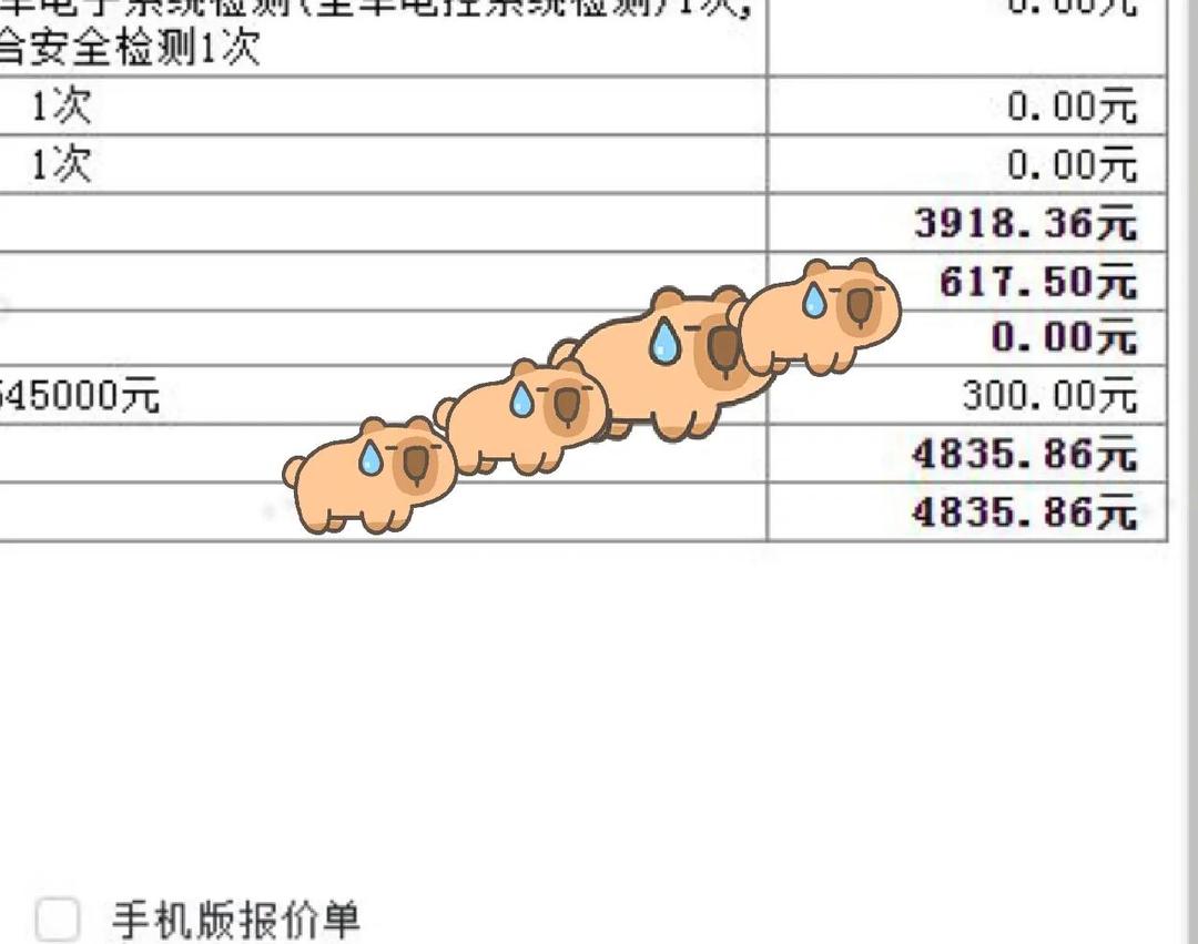 人保车险   品牌优势——快速了解燃油汽车车险,人保伴您前行_2025年中国新能源金融行业：绿色转型与金融创新