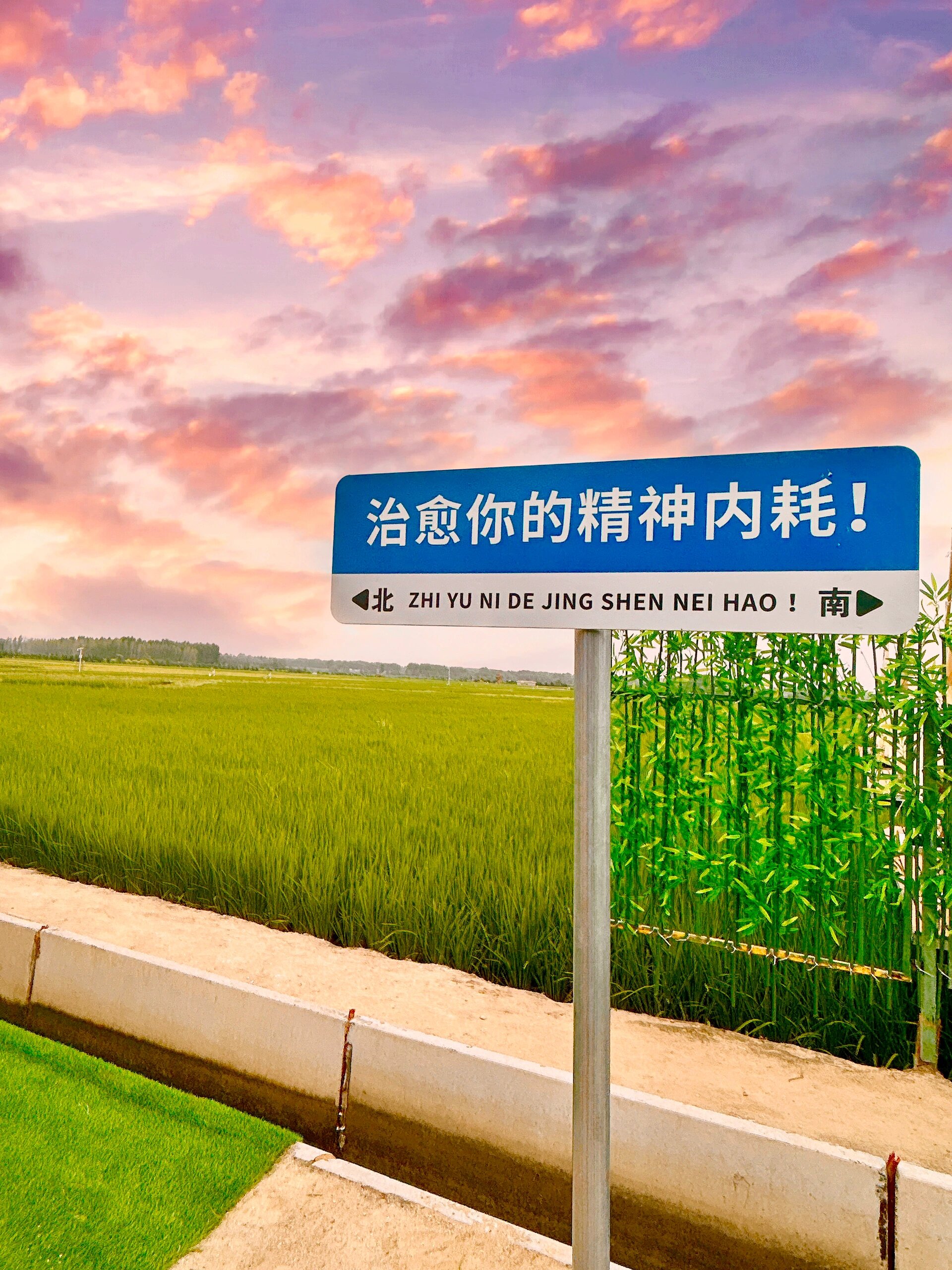 2025年中国工业节能行业，开启“绿色盈利”新纪元_人保财险政银保 ,人保服务