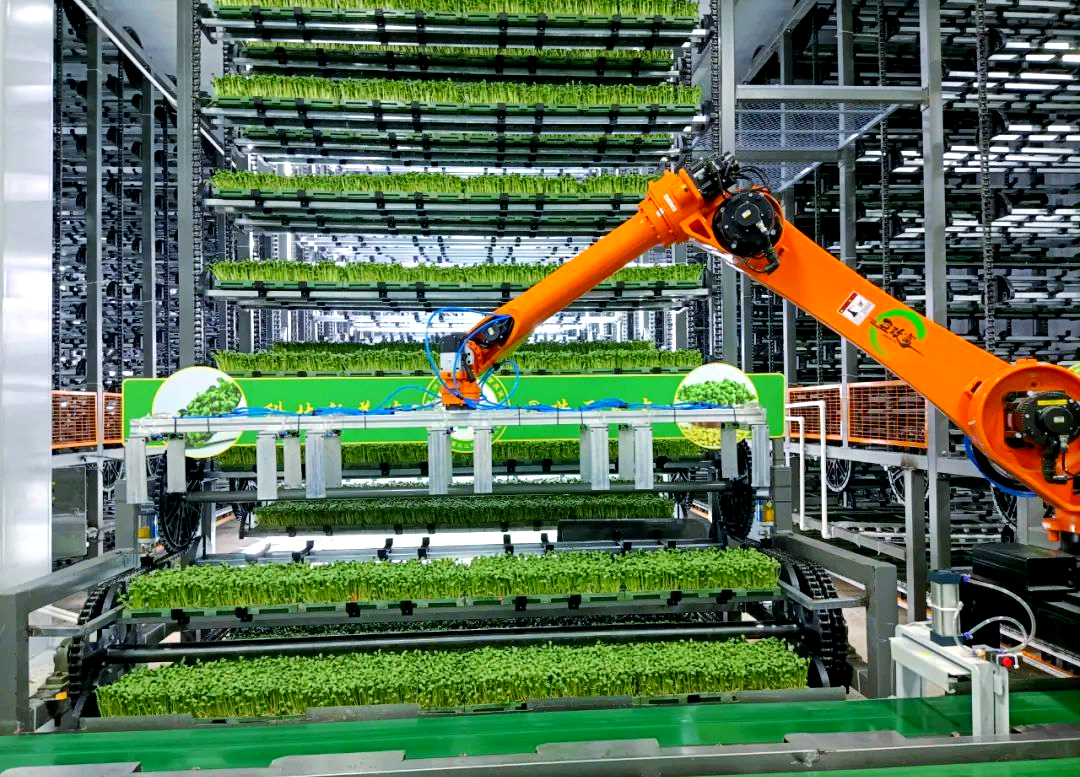 2025年中国有机硅行业，绿色、智能、高效，未来已来_拥有“如意行”驾乘险，出行更顺畅！,人保有温度