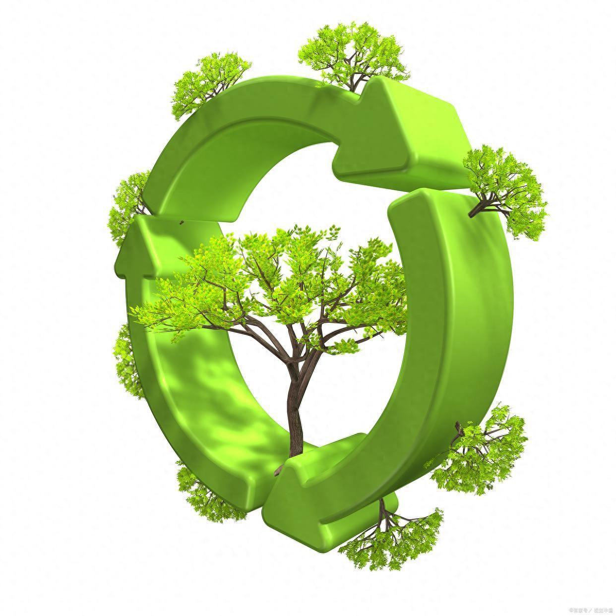 2025年中国无花果行业：政策补贴1200元/亩+碳关税红利，绿色投资攻守兼备_人保伴您前行,人保财险 