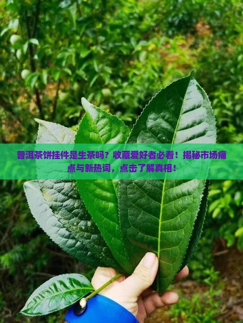 2025年中国沙棘行业：掘金绿色健康，市场潜力揭秘_人保服务 ,拥有“如意行”驾乘险，出行更顺畅！