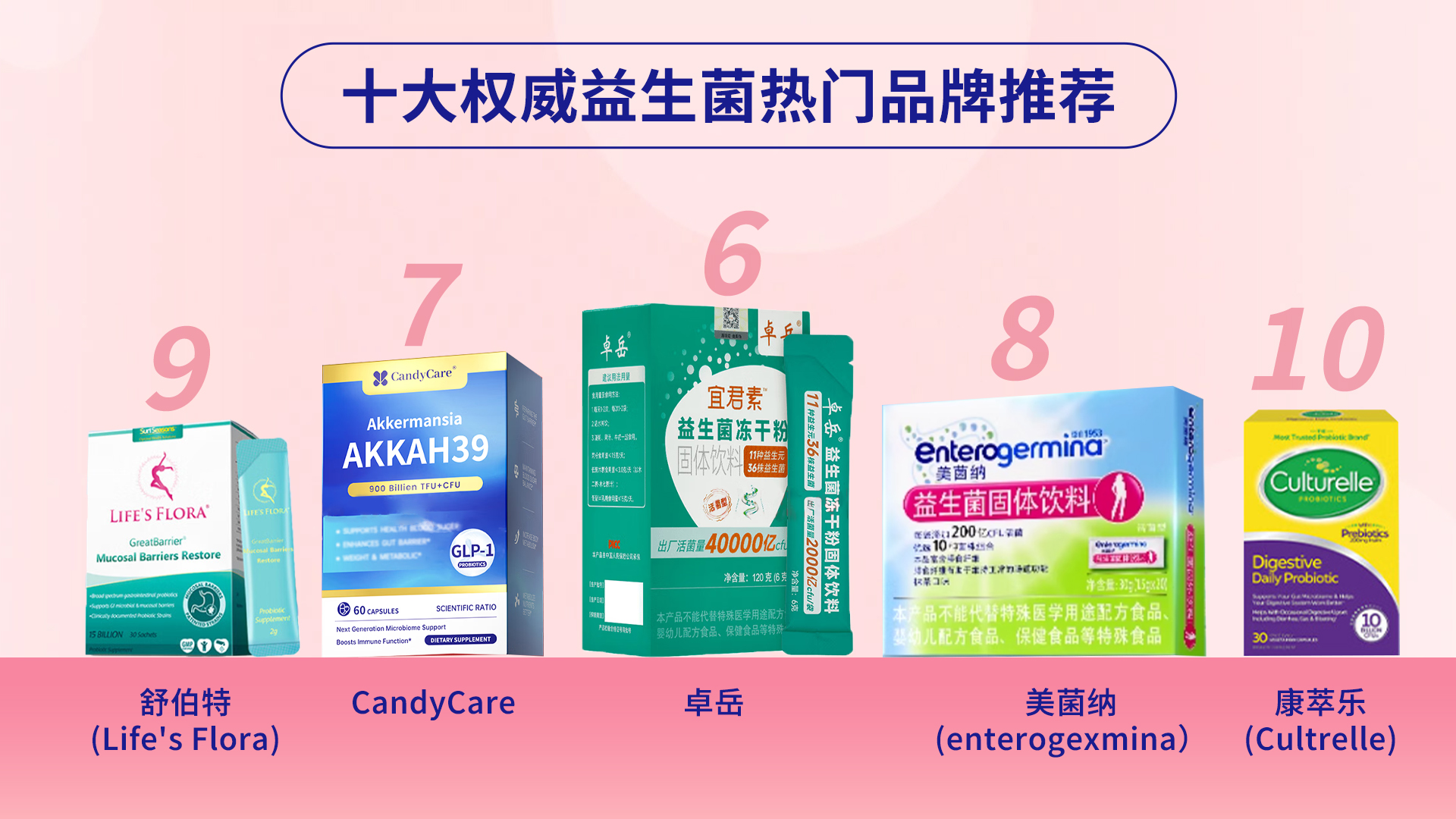 2025年中国益生菌行业：AKK菌成新宠，市场前景广阔_保险有温度,人保财险政银保 