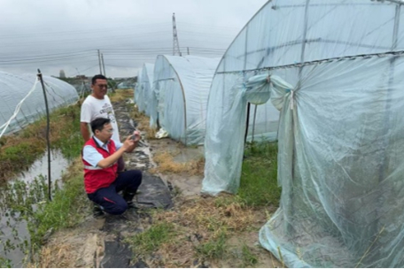 人保车险,人保财险 _竹筒酒行业现状与发展趋势分析2025