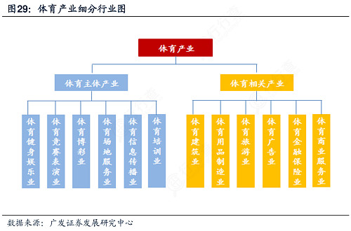 我国体育产业总规模近五年年均增速超10%