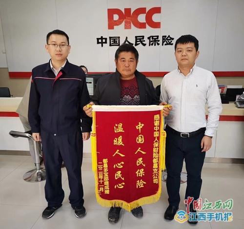 人保护你周全,人保有温度_2025年当归种植行业：中药材产业基石