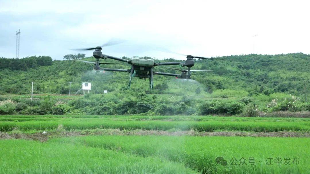 无人机搭建起空中转运通道 助力粮食高效归仓