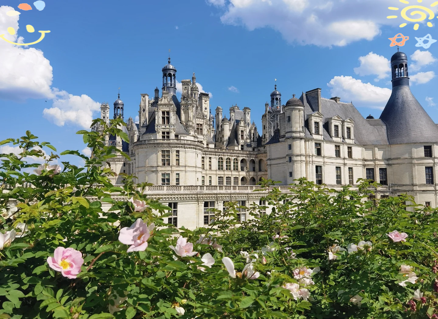 东法西渐：法律东方主义