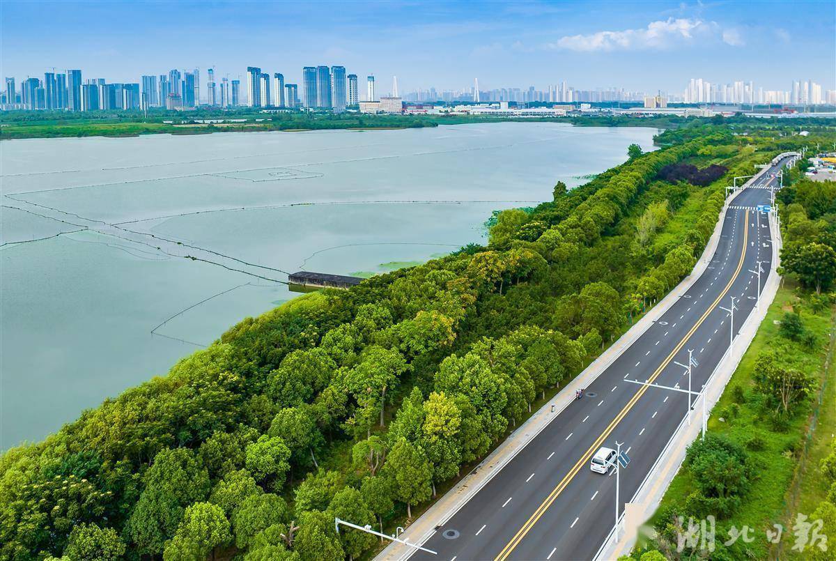 拥有“如意行”驾乘险，出行更顺畅！,人保有温度_2025中国金属吊顶板行业：品牌差异化竞争加剧