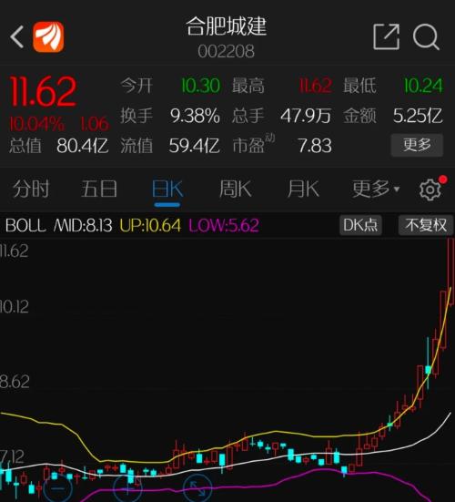 合肥城建(002208)2025年中报简析:增收不增利