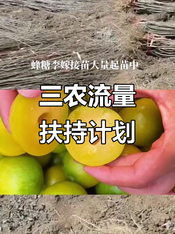 抖音电商三年助销农特产品超200亿单