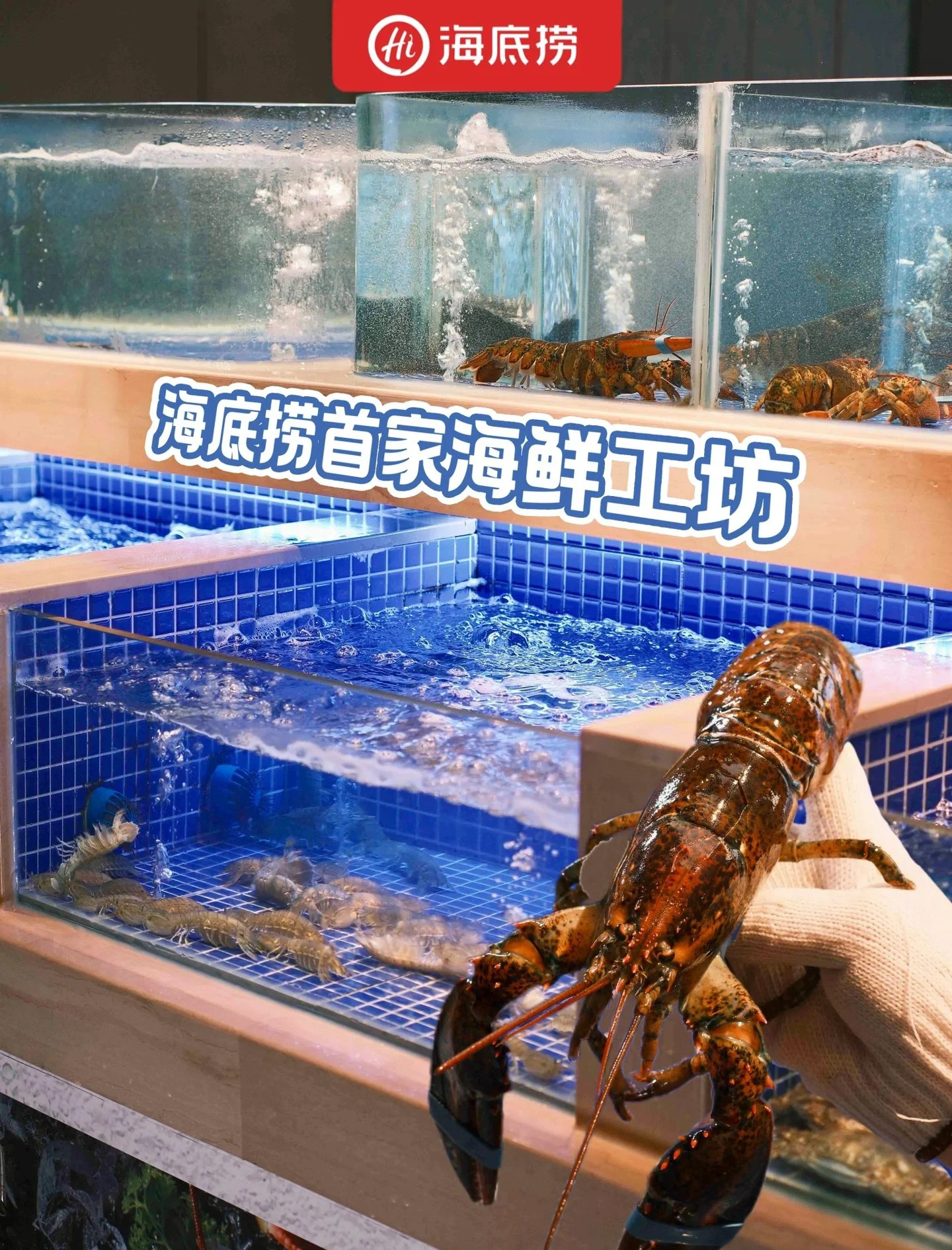 海底捞全国首家社区店开业 探索全时段运营模式