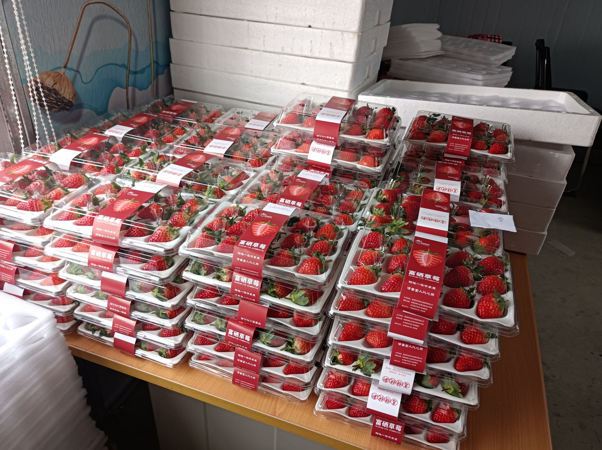 昊创瑞通于9月11日启动申购 技术赋能开拓智能配电新未来