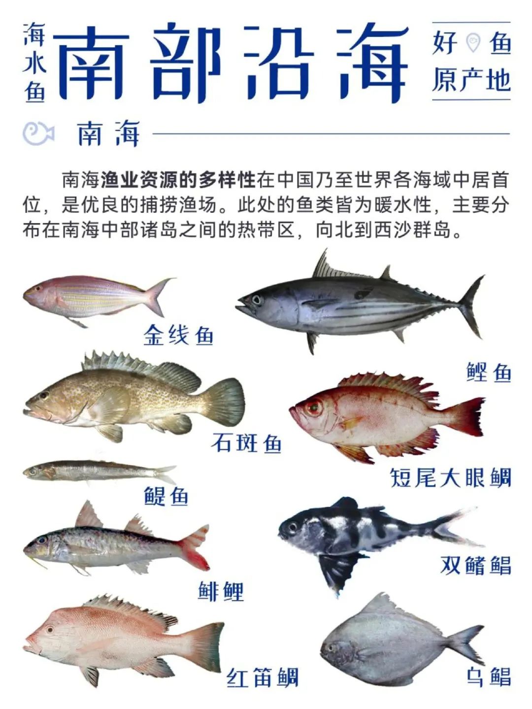 我国海洋生产总值突破10万亿元 海洋水产品总产量连续36年全球第一