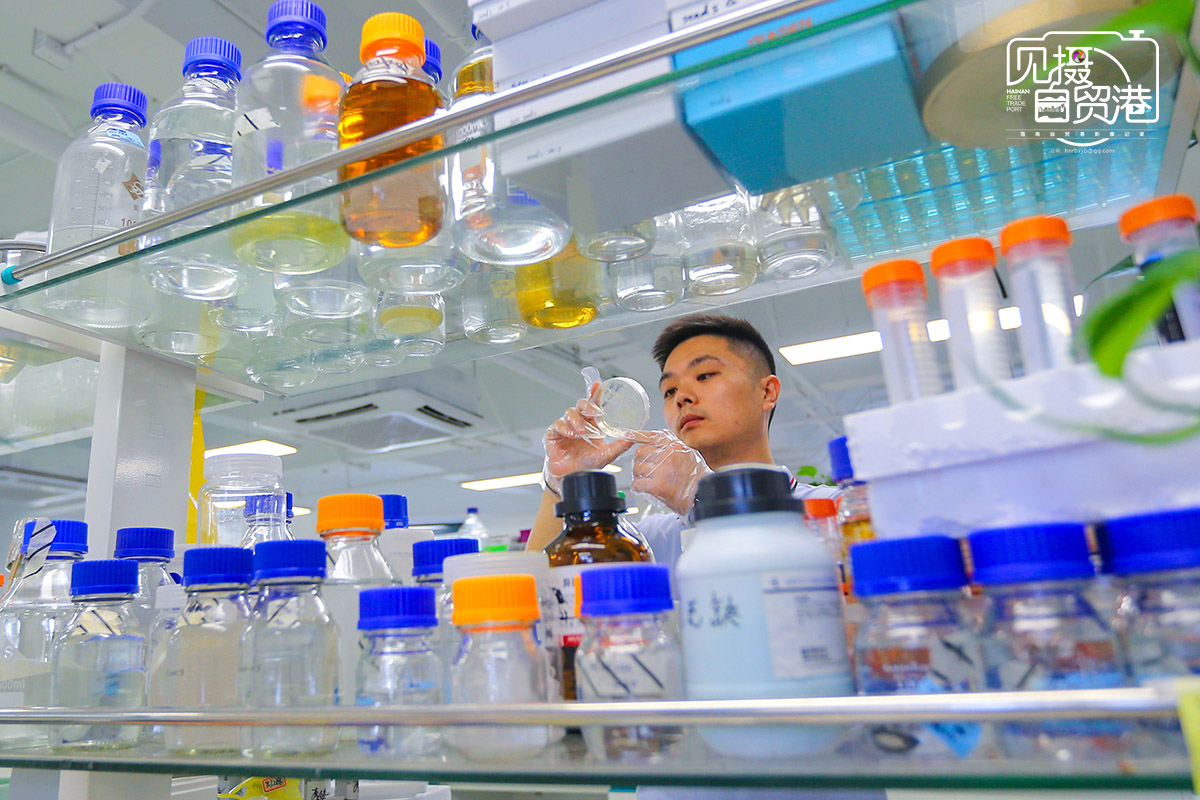 海南省种业实验室与塞内加尔农业研究所签署国际合作协议