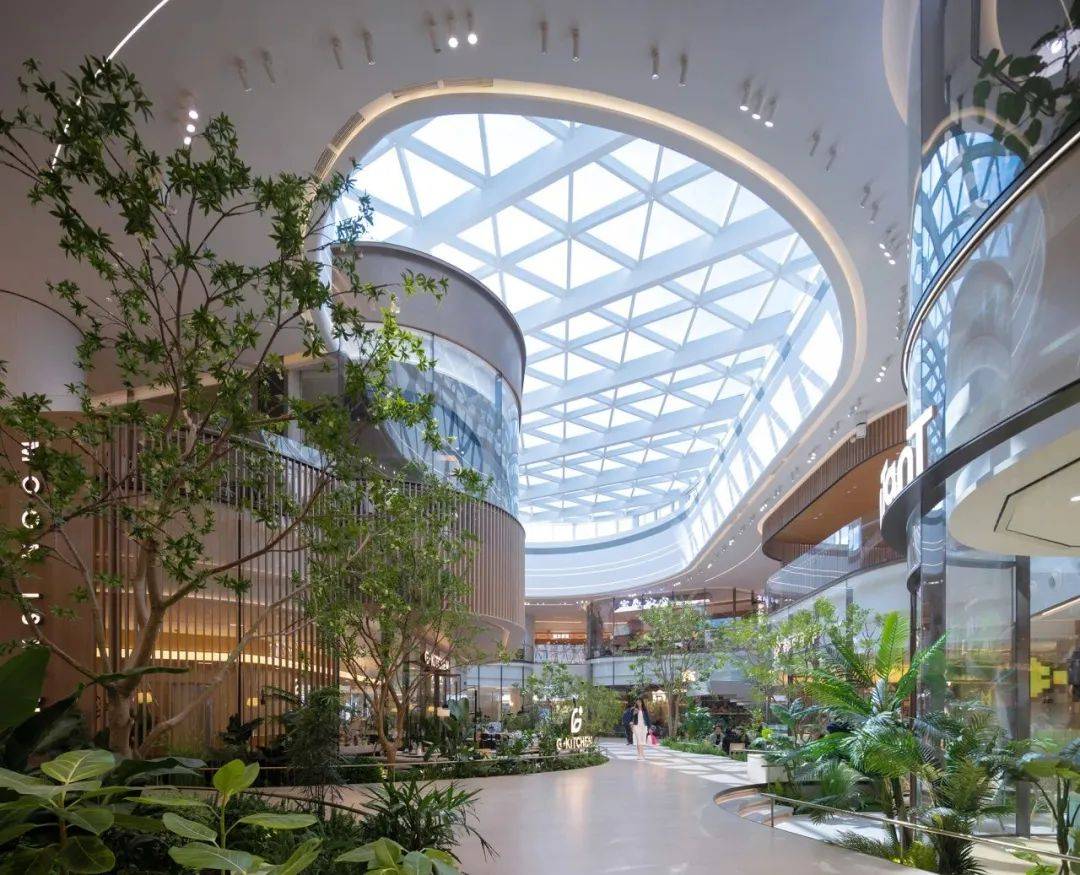 瑞安集团主席罗康瑞：中企出海是一个长期培育市场的过程