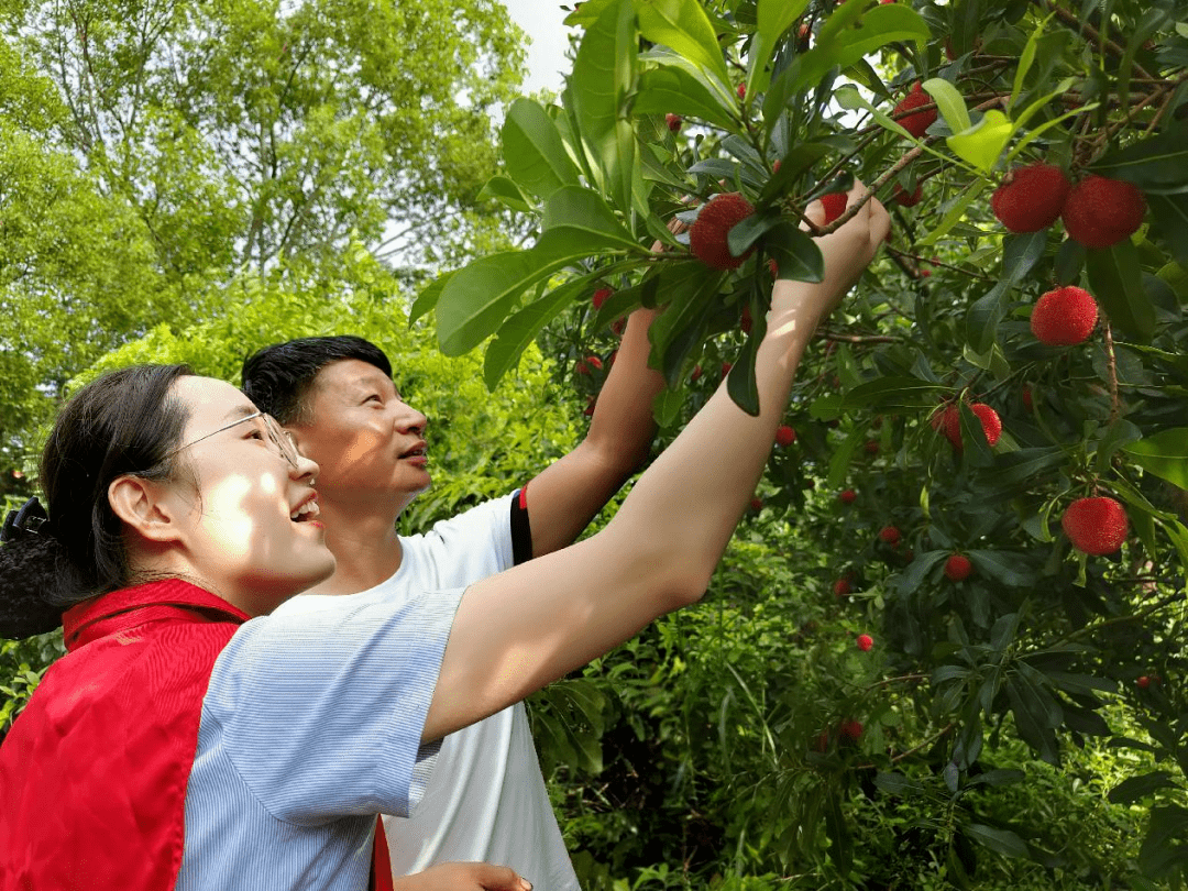 贵州织金：科技赋能农业 五万亩南瓜采收驶入“快车道”