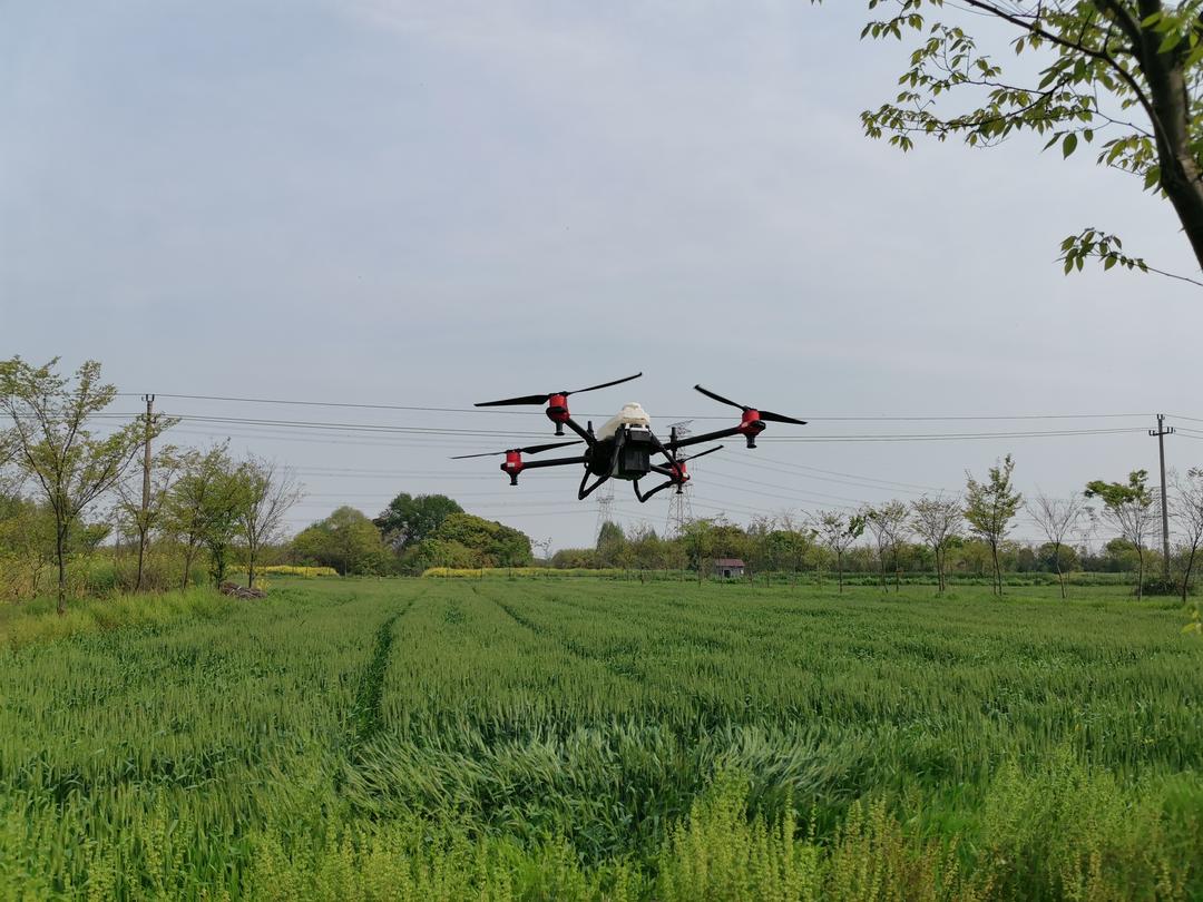 贵州织金：科技赋能农业 五万亩南瓜采收驶入“快车道”