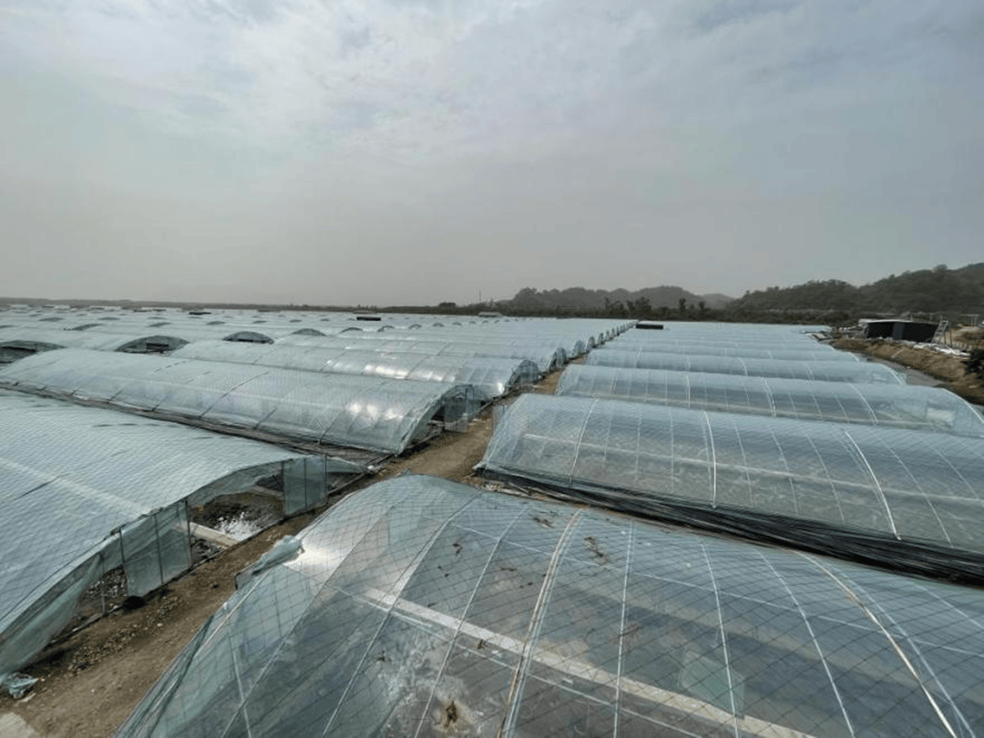 粤海饲料：深耕特种水产饲料领域