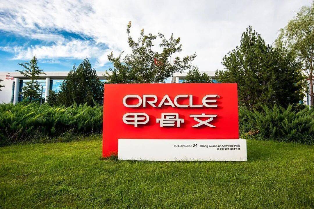 甲骨文复兴启示：老巨头如何穿越新周期 丨小白商业观