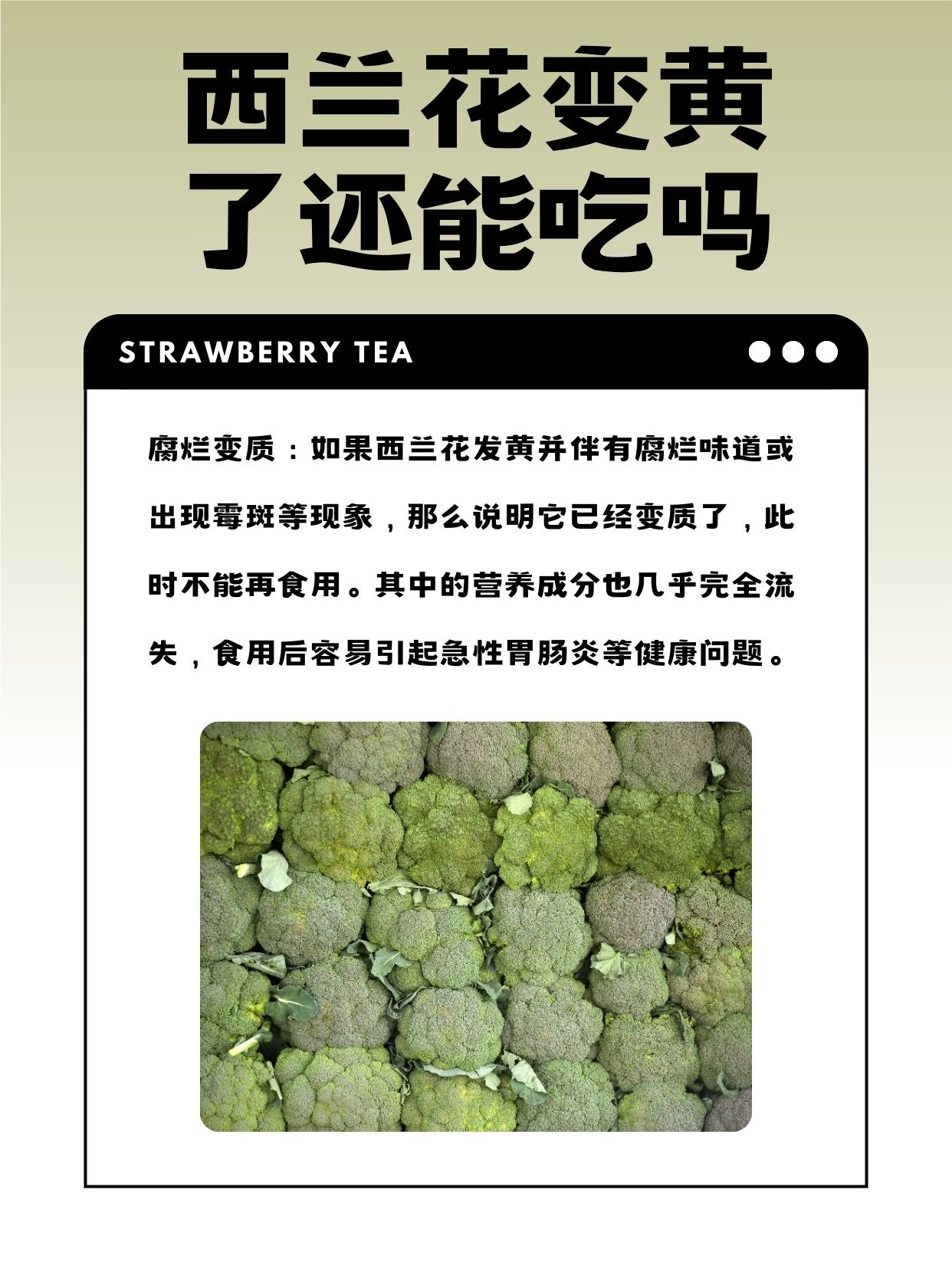 四问速冻西兰花：为何冻？如何冻？营养价值几何？谁在吃？