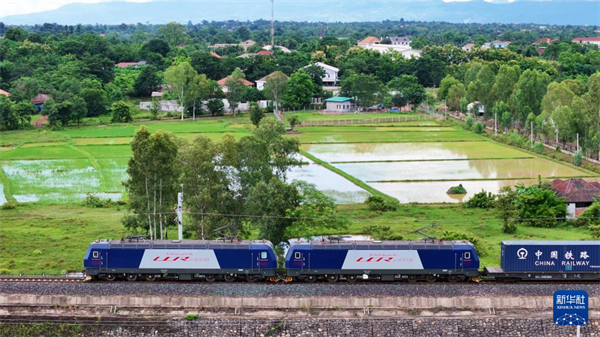 首批经中老铁路进口的老挝茶叶直达昆明