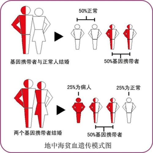 携带地贫基因被解聘，体检“国标”该修了