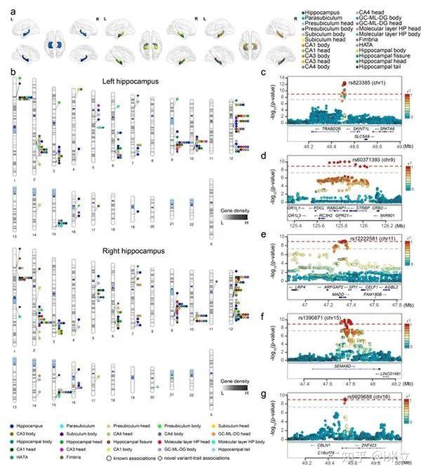 我国研究团队牵头破解蒿属分类难题