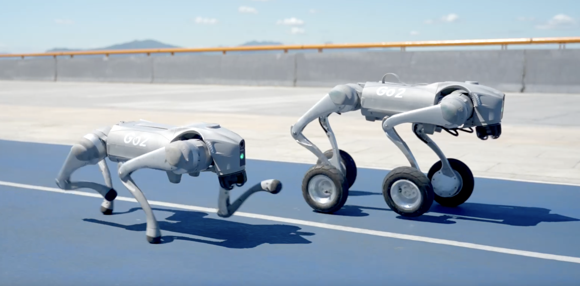 保险有温度,人保伴您前行_AI智能宠物机器狗行业：2025技术、需求与政策的三重共振